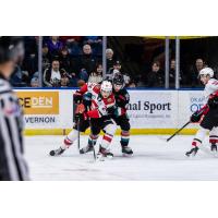 Prince George Cougars' Keaton Dowhaniuk battles Kelowna Rockets' Caden Price