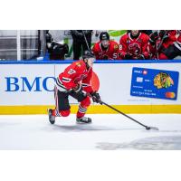 Rockford IceHogs forward Lukas Reichel