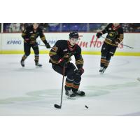 Vancouver Giants forward Sam Honzek