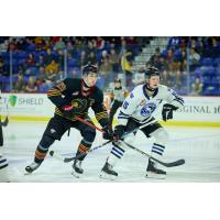 Vancouver Giants forward Sam Honzek