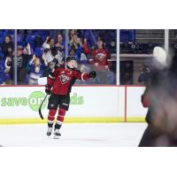 Vancouver Giants forward Sam Honzek