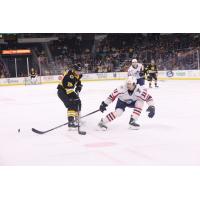 Springfield Thunderbirds defenseman Anton Malmstrom (right)