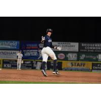 Somerset Patriots' Ben Rice in action