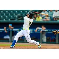 Columbia Fireflies' Blake Mitchell At Bat