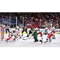 Grand Rapids Griffins battle the Iowa Wild