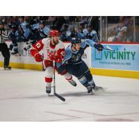 Grand Rapids Griffins' Carter Mazur battles Milwaukee Admirals' Jack Matier