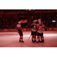 Kansas City Mavericks celebrate folowing a goal