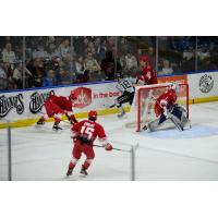 Allen Americans defend against the Idaho Steelheads