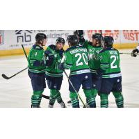 Maine Mariners celebrate a goal