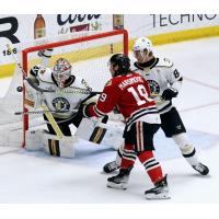 Wheeling Nailers' David Tendeck and Thimo Nickl and Indy Fuel's Kyle Maksimovich on game night