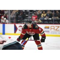 Tucson Roadrunners' Dylan Guenther on game night