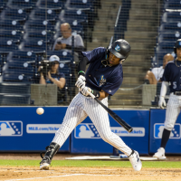 Tampa Tarpons' Roderick Arias at bat