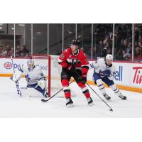 Belleville Senators' Nikolas Matinpalo and Toronto Marlies' Dennis Hildeby and Robert Mastrosimone on game night