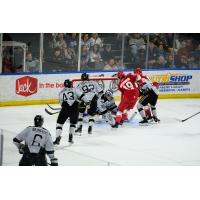 Allen Americans battle the Idaho Steelheads