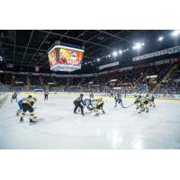 Springfield Thunderbirds on the ice in front of a big home crowd