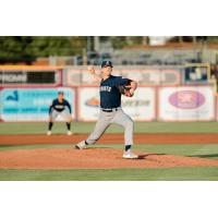 Somerset Patriots' Trystan Vrieling in action