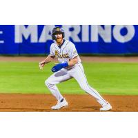 Charleston RiverDogs' Noah Myers in action