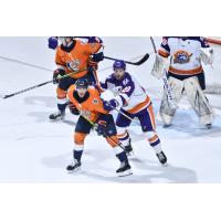 Greenville Swamp Rabbits battle the Orlando Solar Bears