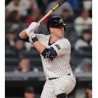 Somerset Patriots' Jon Berti at bat