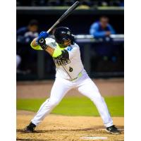 Columbia Fireflies' Chris Brito at bat