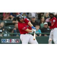 Hickory Crawdads at bat