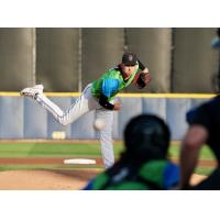 Pensacola Blue Wahoos in action