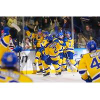 Saskatoon Blades celebrate win