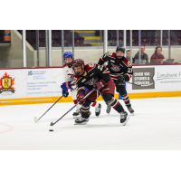 Peterborough Petes 2024 Development Camp