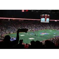 Fans cheer on the Toronto Rock