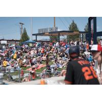 The berm is packed with spectators for the Reno Aces at Greater Nevada Field