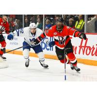 Belleville Senators left wing Bokondji Imama vs. the Toronto Marlies