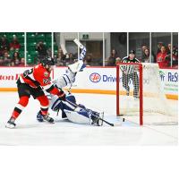 Belleville Senators right wing Garrett Pilon wins it in overtime vs. the Toronto Marlies