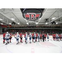 Belleville Senators and Toronto Marlies exchange handshakes postgame