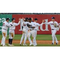 Toledo Mud Hens exchange high fives