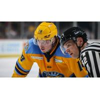 Toledo Walleye forward Trenton Bliss awaits a faceoff