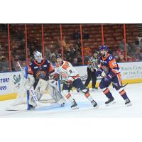 Greenville Swamp Rabbits' Colton Young and Orlando Solar Bears' Evan Fitzpatrick and Ben Carroll on the ice