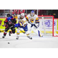 Saskatoon Blades' John Babcock versus Moose Jaw Warriors' Jagger Firkus