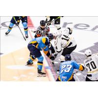 Wheeling Nailers vs. the Toledo Walleye