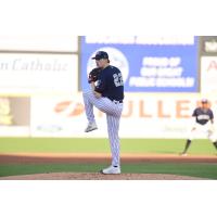 Somerset Patriots' Trystan Vrieling in action