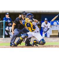 Charleston RiverDogs in action