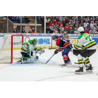 Saginaw Spirit battle the London Knights