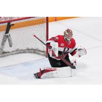 Belleville Senators' Mads Sogaard on the ice