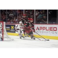 Grand Rapids Griffins' 	Joel L'Esperance and Amadeus Lombardi versus Rockford IceHogs' Wyatt Kaiser