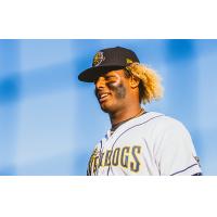 Charleston RiverDogs' Alex Ayala Jr. on game day