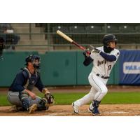 Tri-City Dust Devils' Jorge Ruiz at bat