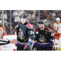 Tucson Roadrunners forward Jan Jenik (24) and defenseman Steven Kampfer