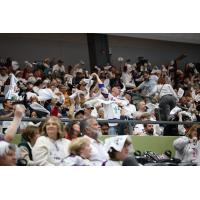 Tucson Roadrunners fans cheer the team