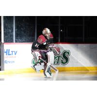 Tucson Roadrunners goaltender Matthew Villalta