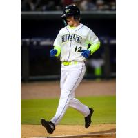 Columbia Fireflies' Milo Rushford on game night