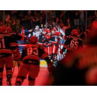 Grand Rapids Griffins celebrate win